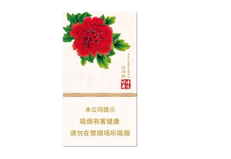 辽宁朝阳哪里批发香烟最多